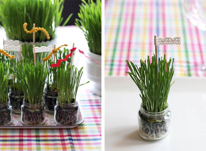 Wheat grass planted in baby food jars from seejaneblog.com