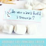 Frozen inspired treat bags with free printable toppers optimized for pinterest