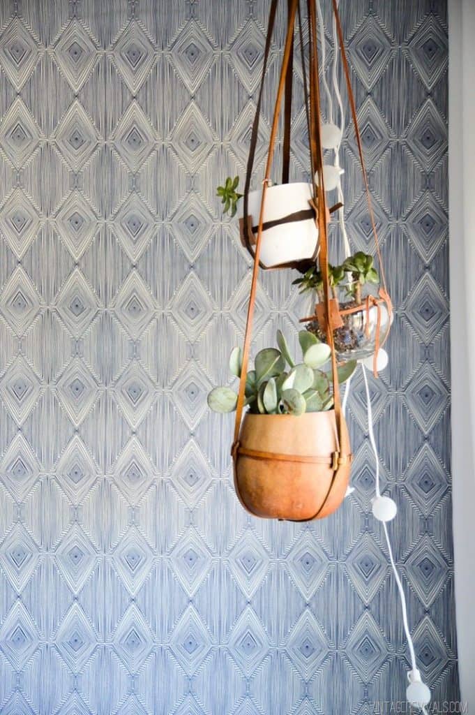 Fabric wallpaper with a blue diamond pattern and planters hanging in front of it