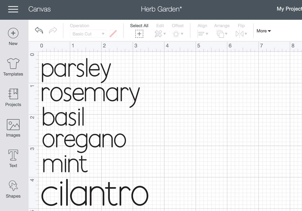 Cricut design space screenshot with herb names typed in simple font
