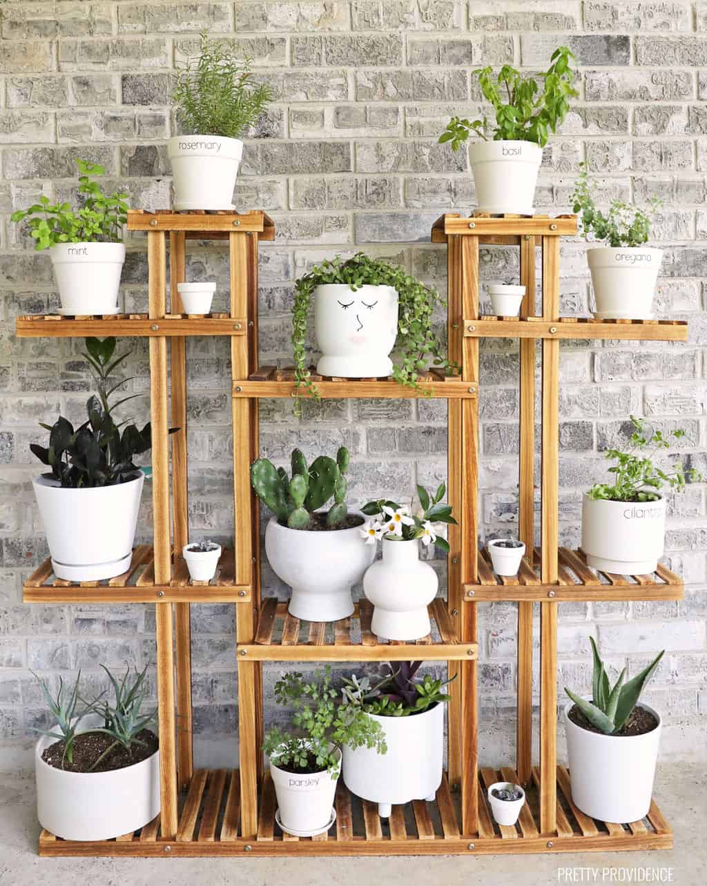 Vertical herb garden on plant shelf in white pots