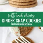 two images of ginger cookies with text optimizing for pinterest