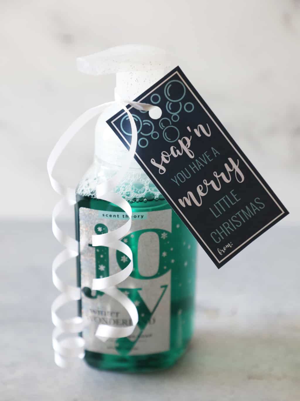 Soapin' You Have A Very Merry Christmas Printable 