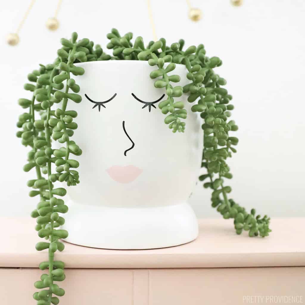 coquette planter with eyelashes and pink lips with a plant that looks like hair tendrils coming out