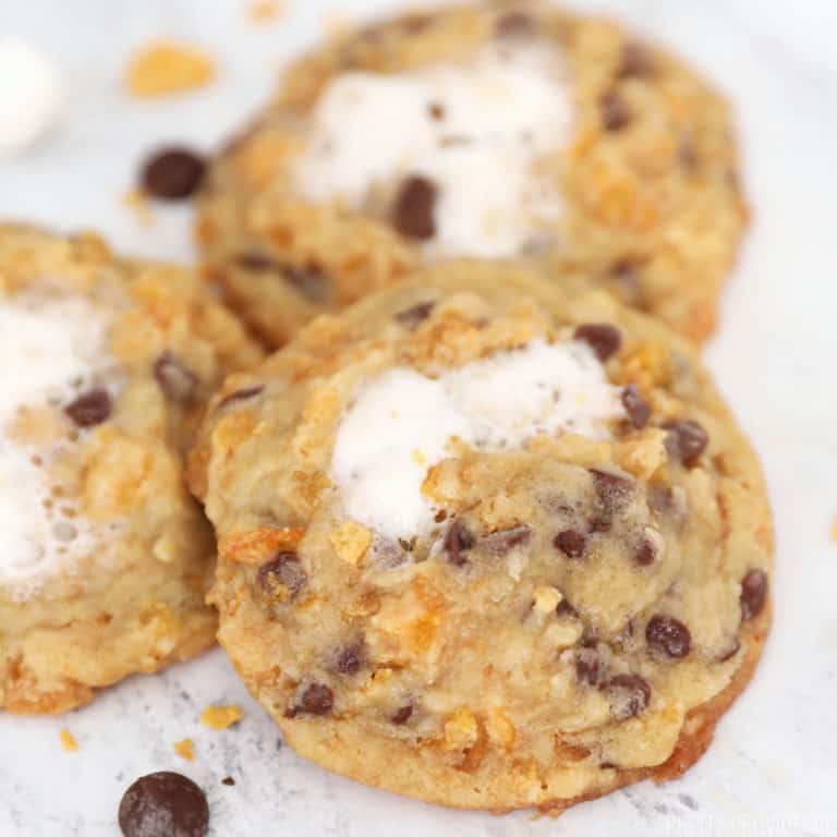 cornflake chocolate chip marshmallow cookie close-up.