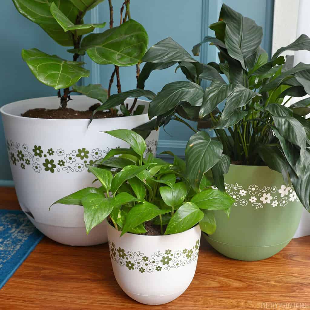 Vintage pyrex inspired plant pots with green and white vintage daisy pattern.
