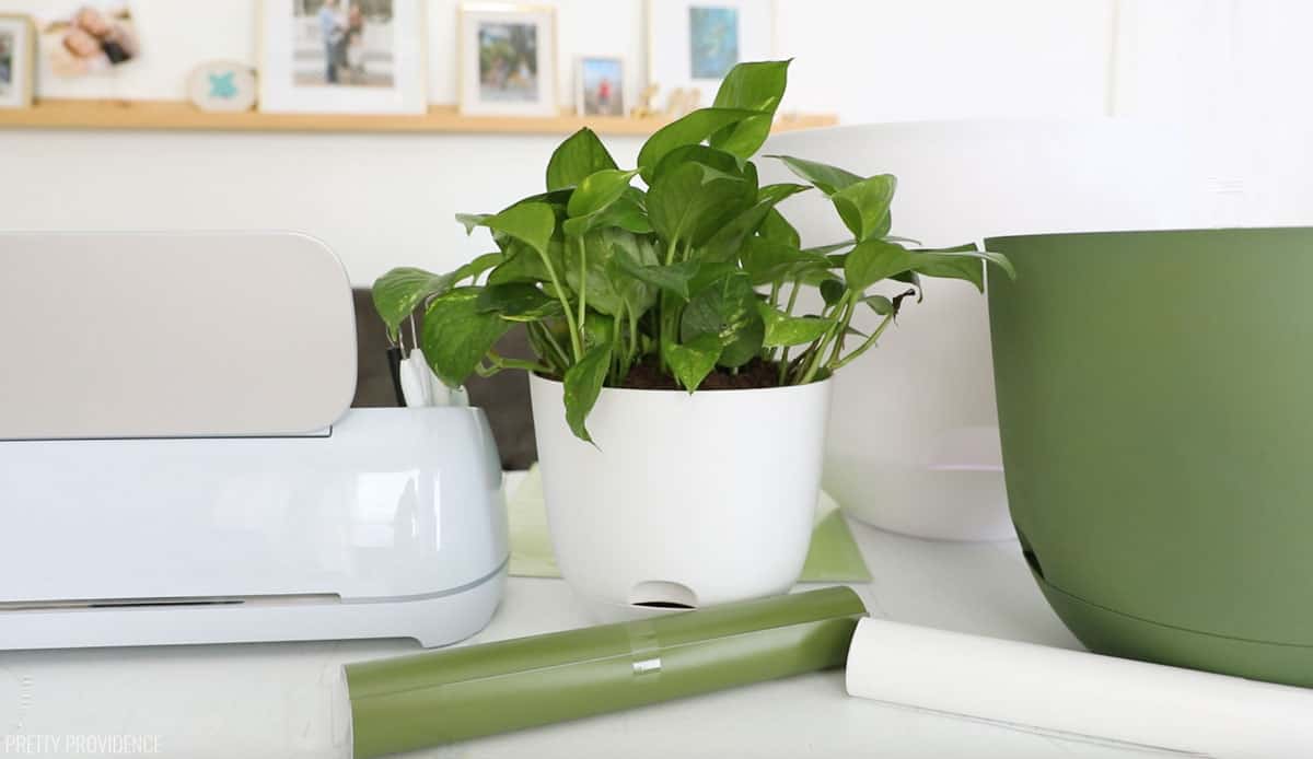 Cricut maker, rolls of vinyl in green and white, three plant pots, one green and two white.