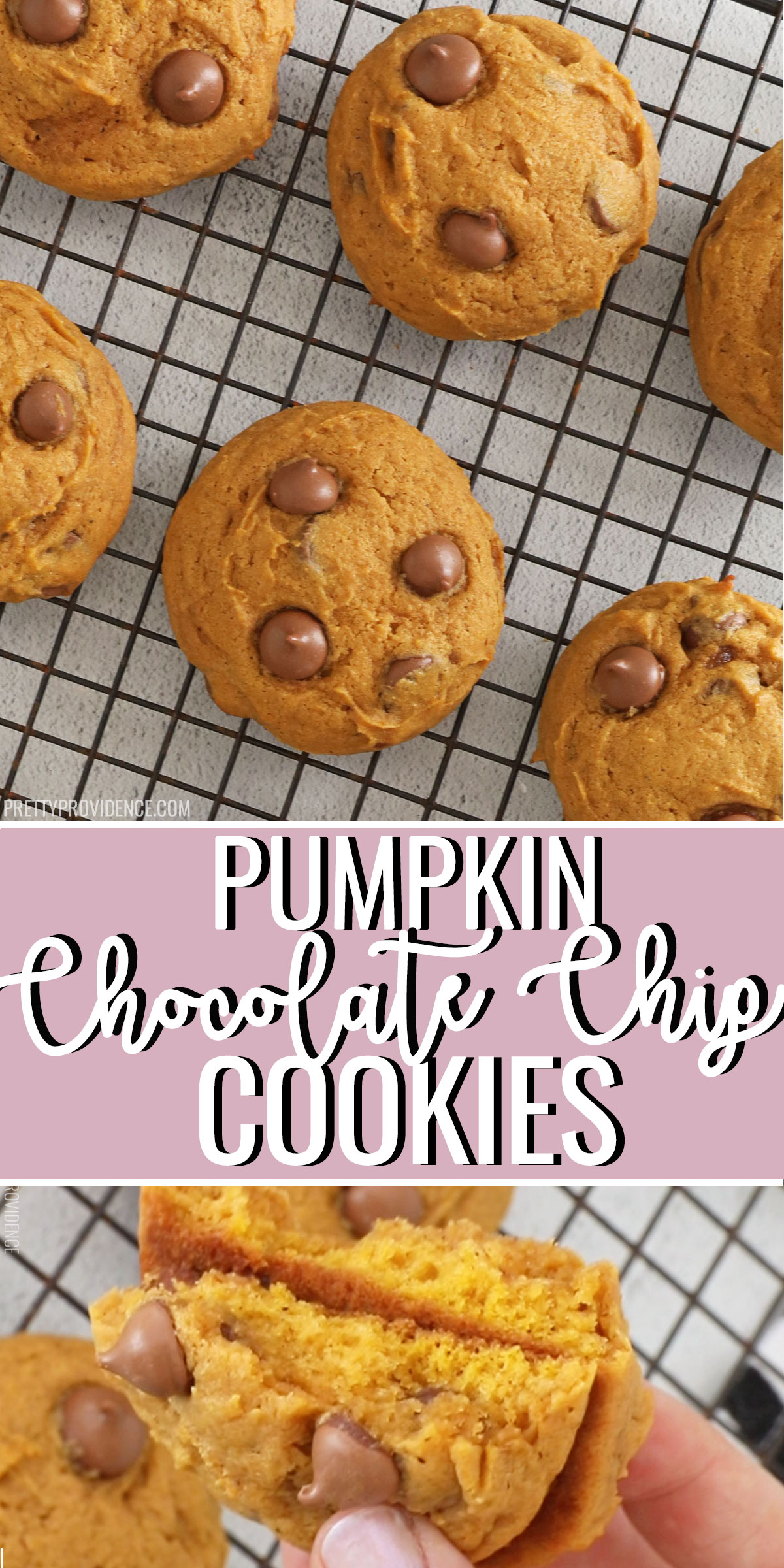Chocolate Chip Pumpkin Cookies