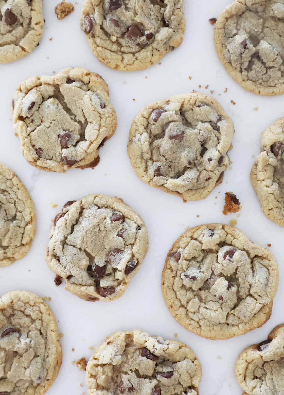 Soft chewy chocolate chip cookies on a white counter top to cool. 