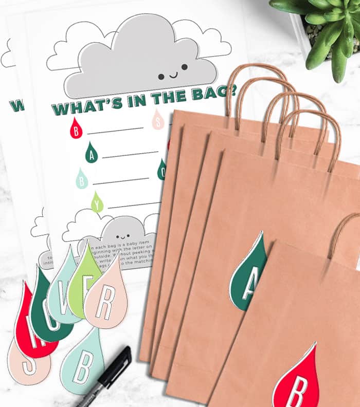 what's in the bag baby shower printable game.