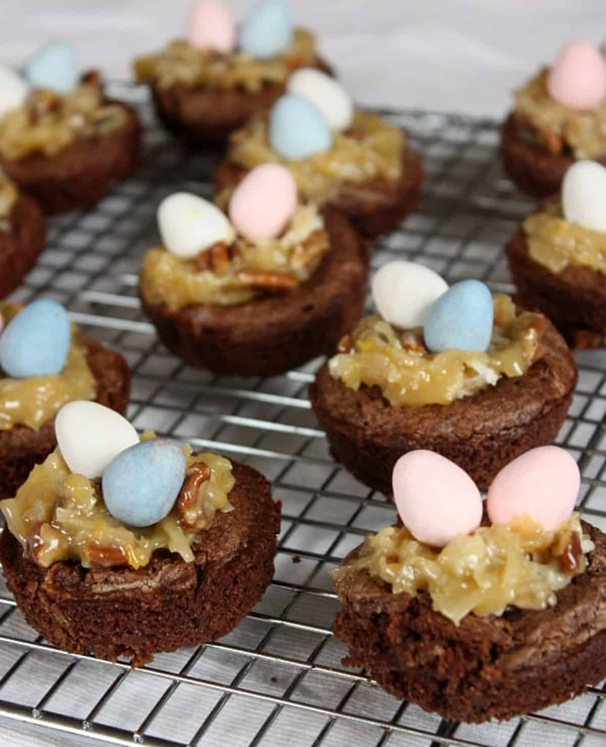 A bunch of Easter brownie bites on a cooling rack. 