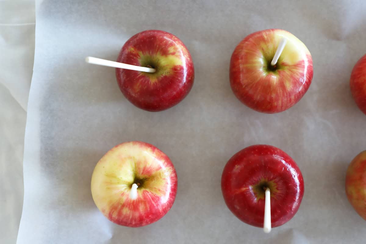 A bird's eye view of washed apples with skewers sticking out of them on a wax paper lined cookie sheet.