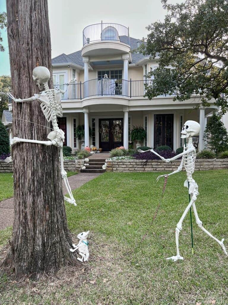 Skeleton posed climbing a tree with another skeleton reaching for it.
