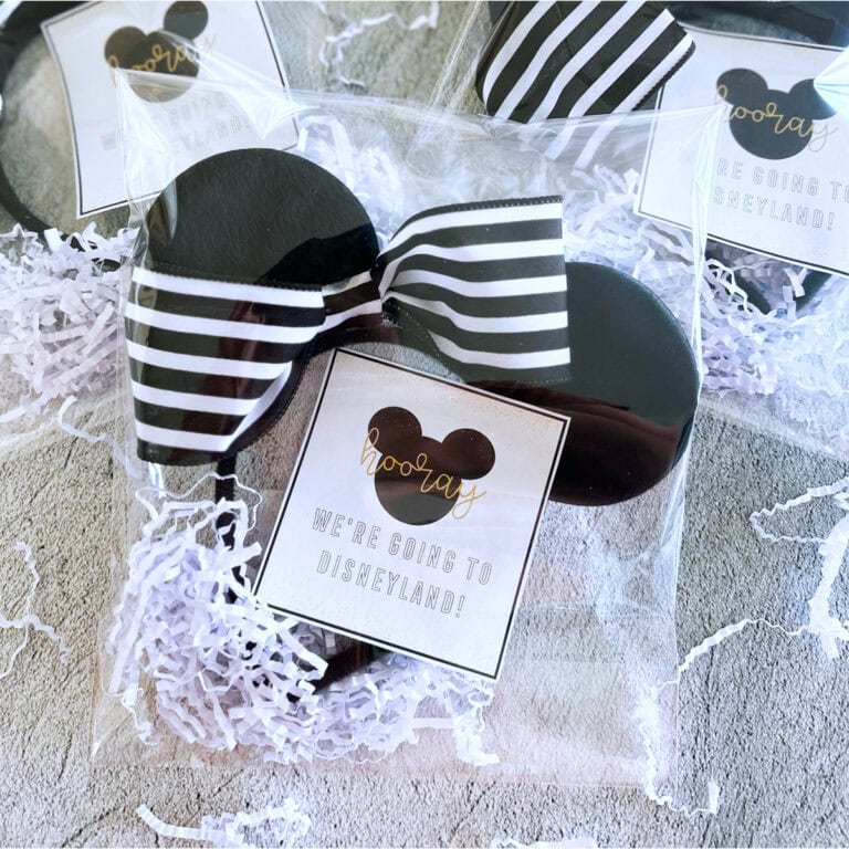 A cellophane bag with Disney Ears and a tag saying "we're going to Disneyland"